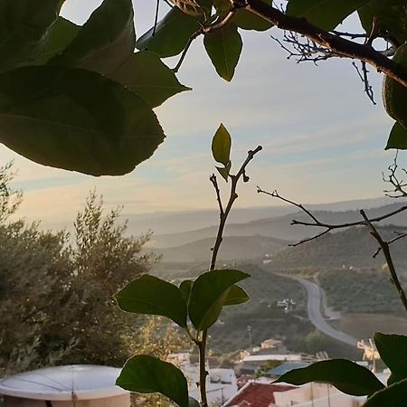 Mirador Del Olivar Olvera Luaran gambar