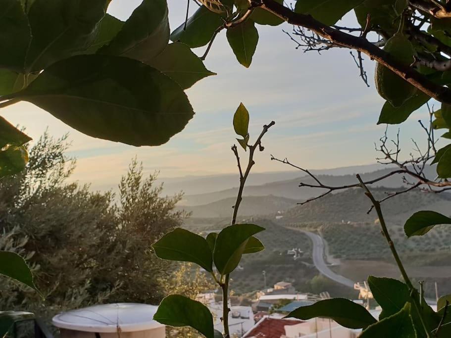 Mirador Del Olivar Olvera Luaran gambar