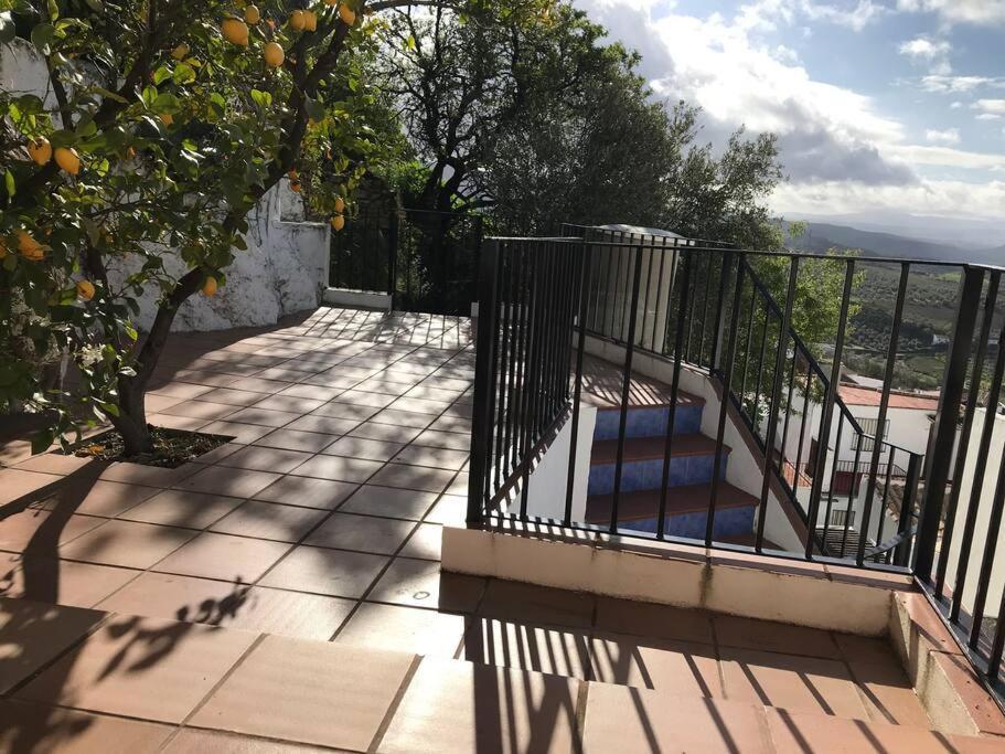 Mirador Del Olivar Olvera Luaran gambar