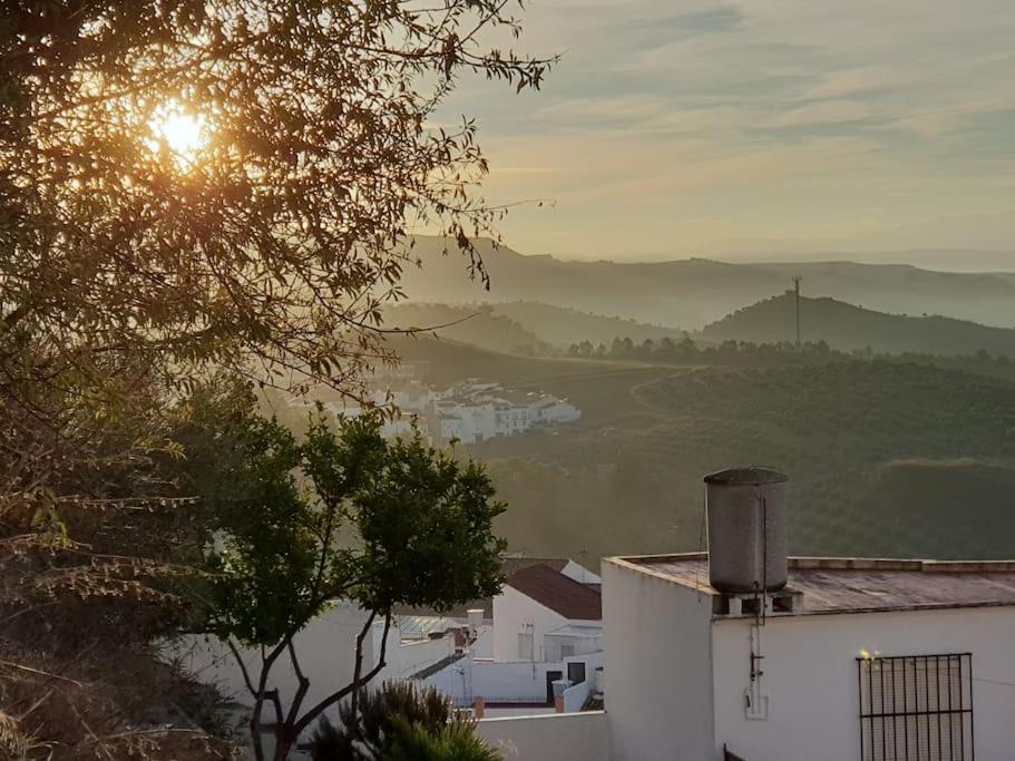 Mirador Del Olivar Olvera Luaran gambar